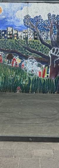 mini maia alta