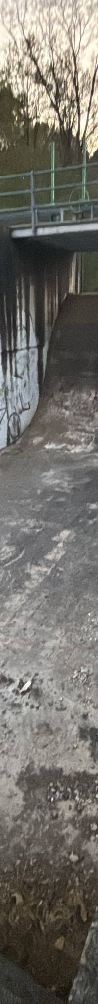 Quarter