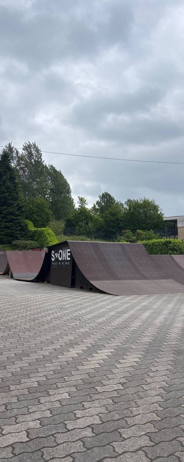 Frontyard
