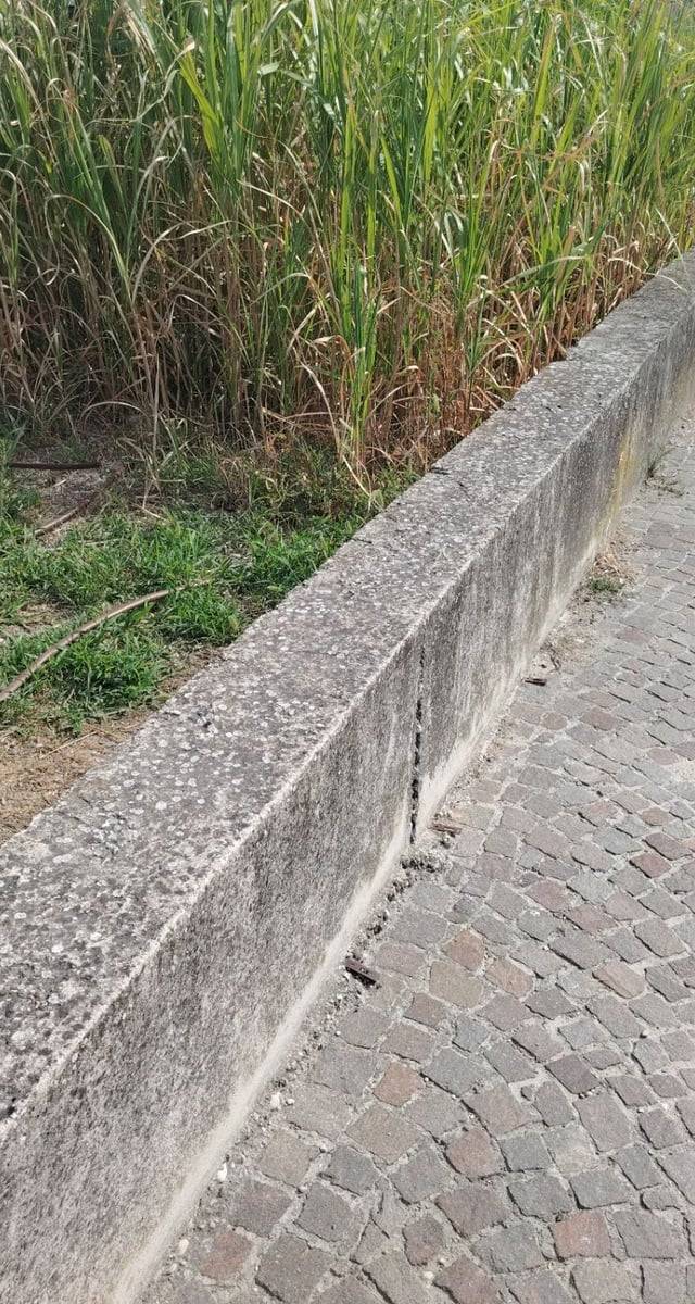Muretto grindabile lungo peschiera del Garda