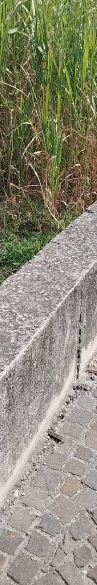 Muretto grindabile lungo peschiera del Garda
