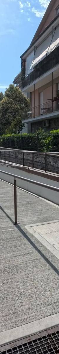 long rail + stairs set with rail